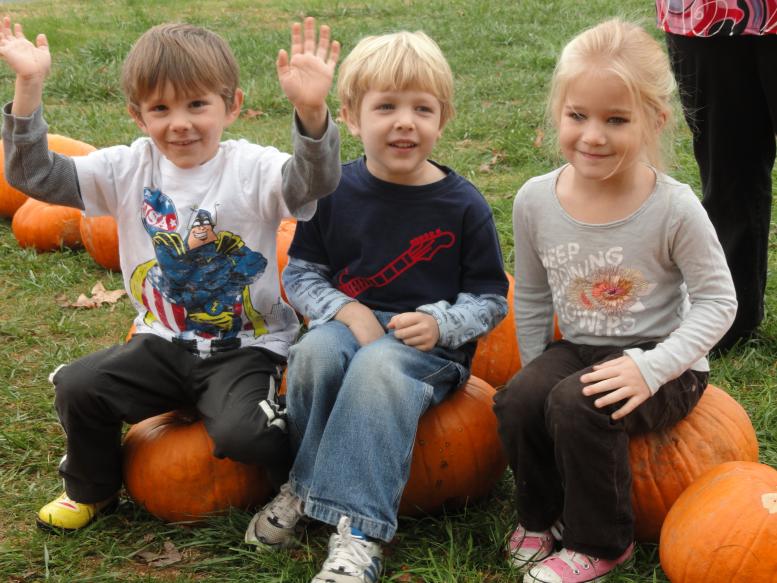 pumpkins2